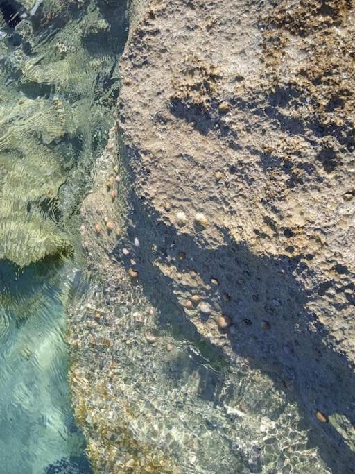 Fillosia Psari Forada Zewnętrze zdjęcie